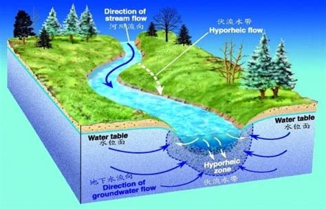 東流水|东流水的解釋